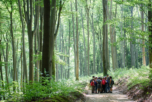 Erdk Nemzetkzi Napja